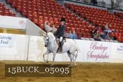 15BUCK_05095 proof