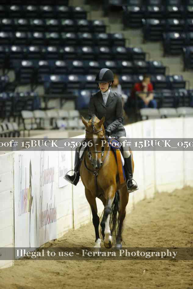 Proof 15BUCK_05096
