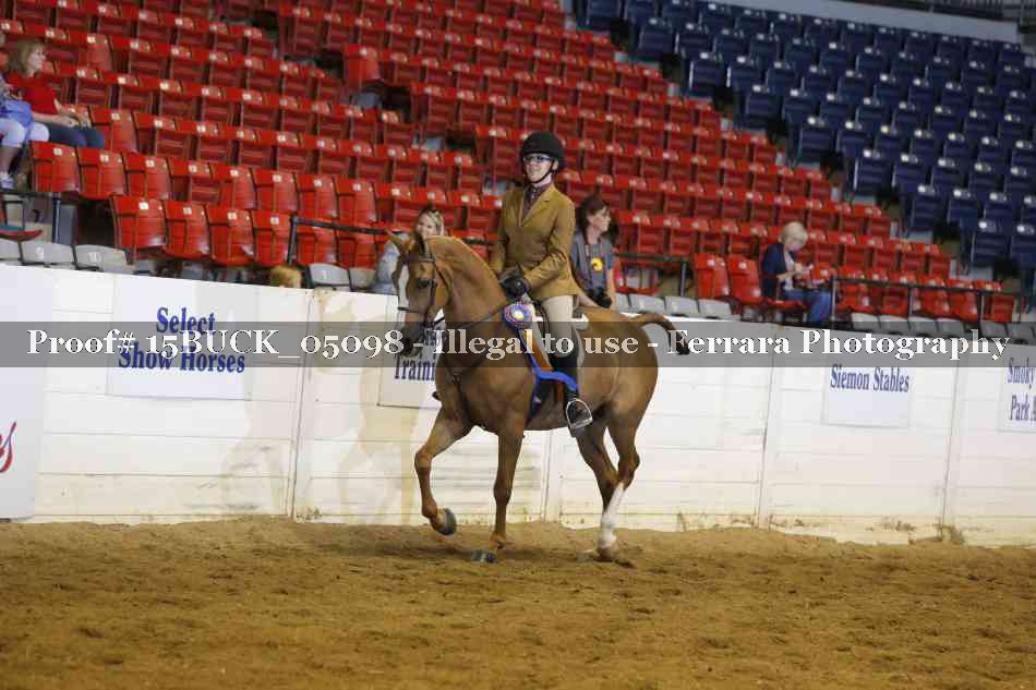 Proof 15BUCK_05098