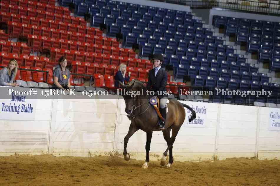 Proof 15BUCK_05100