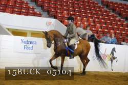 15BUCK_05104 proof
