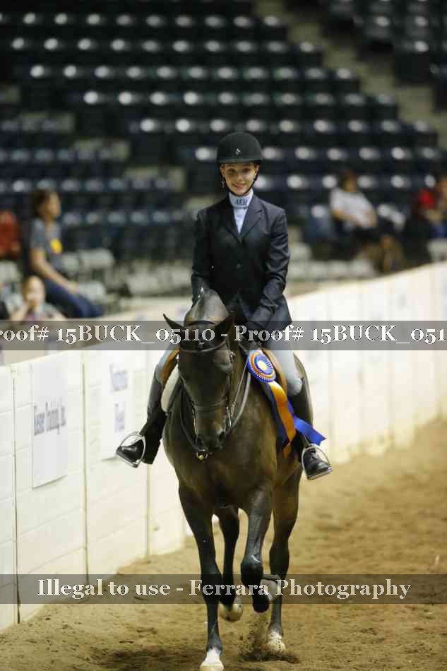 Proof 15BUCK_05110