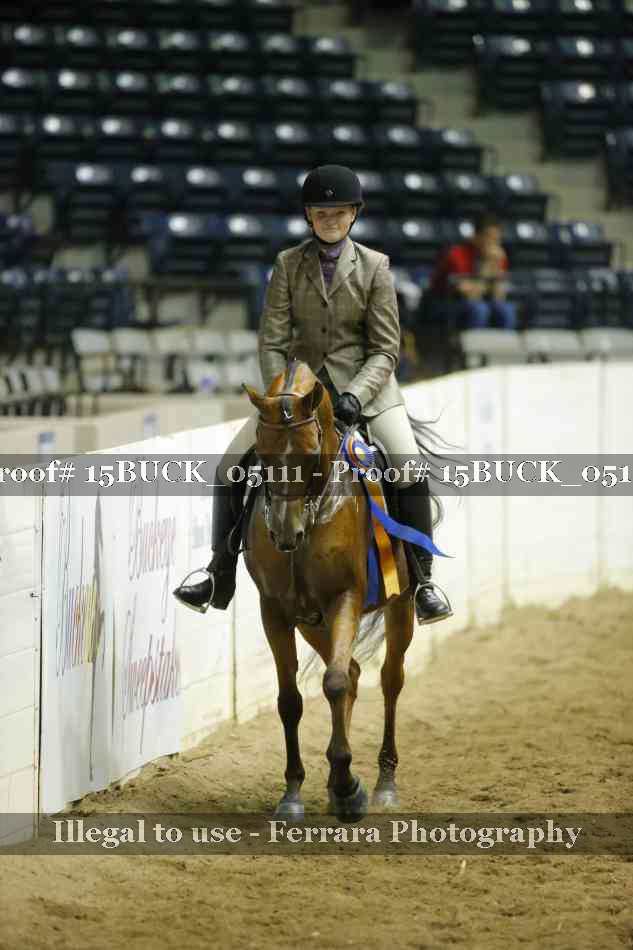 Proof 15BUCK_05111