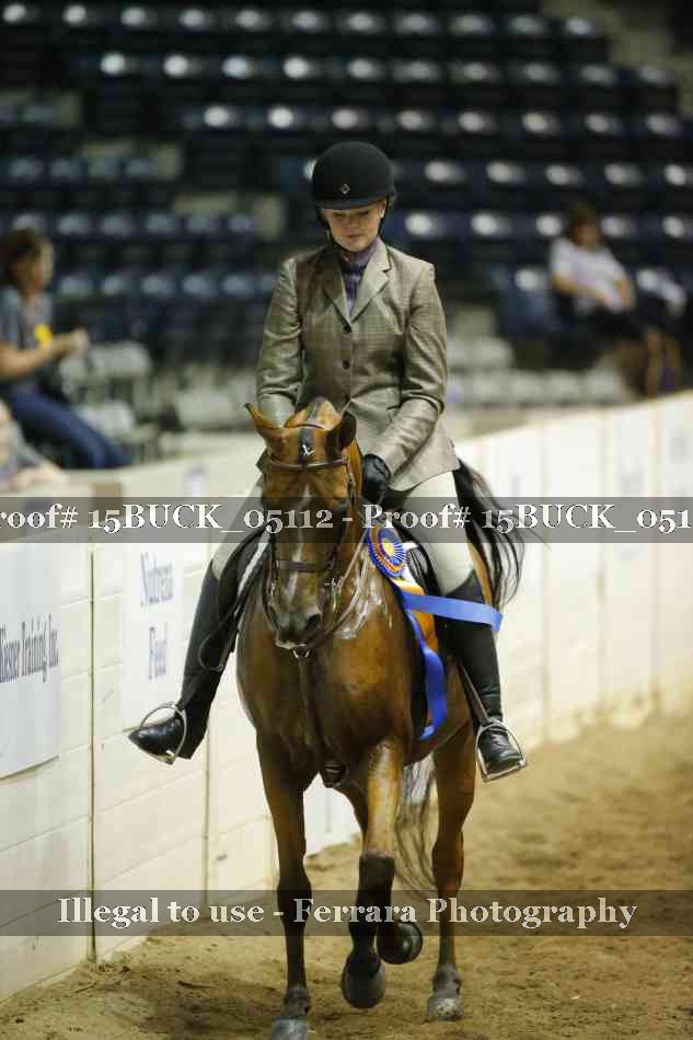 Proof 15BUCK_05112