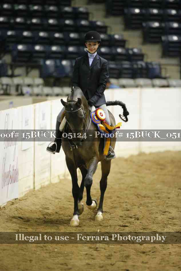 Proof 15BUCK_05124
