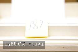 15BUCK_05134 proof