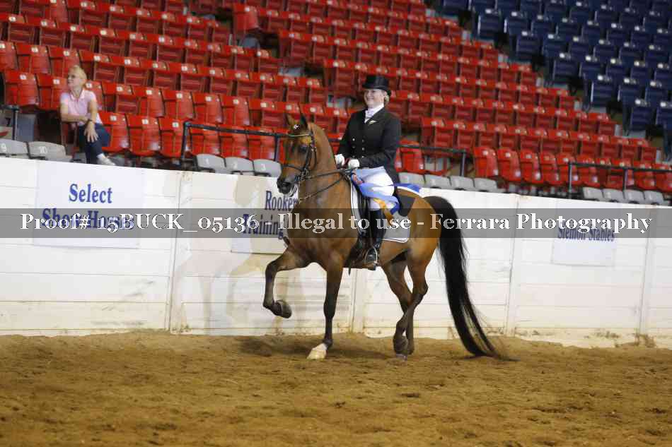 Proof 15BUCK_05136