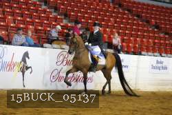 15BUCK_05137 proof