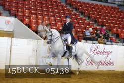 15BUCK_05138 proof