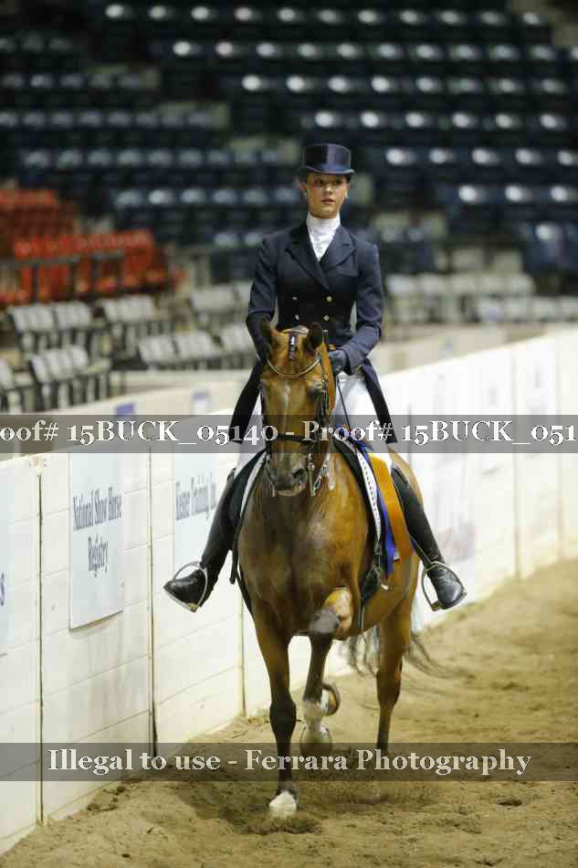 Proof 15BUCK_05140