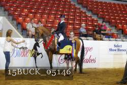 15BUCK_05146 proof