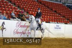15BUCK_05147 proof