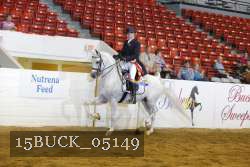 15BUCK_05149 proof