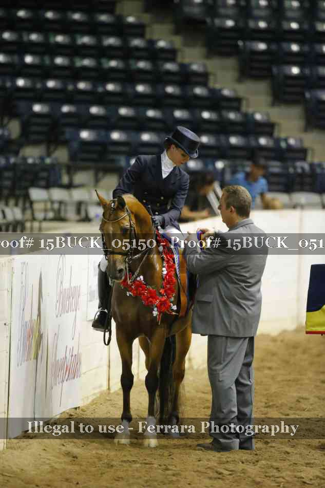 Proof 15BUCK_05150