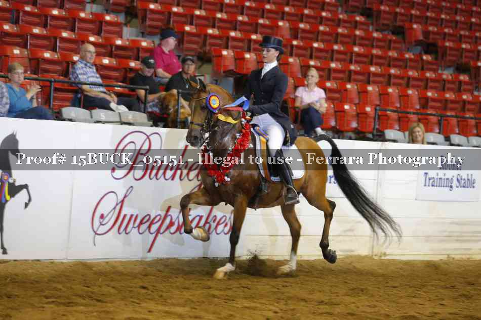 Proof 15BUCK_05151