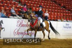 15BUCK_05151 proof