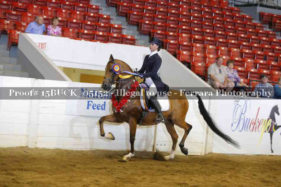 Proof 15BUCK_05152