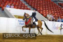 15BUCK_05152 proof