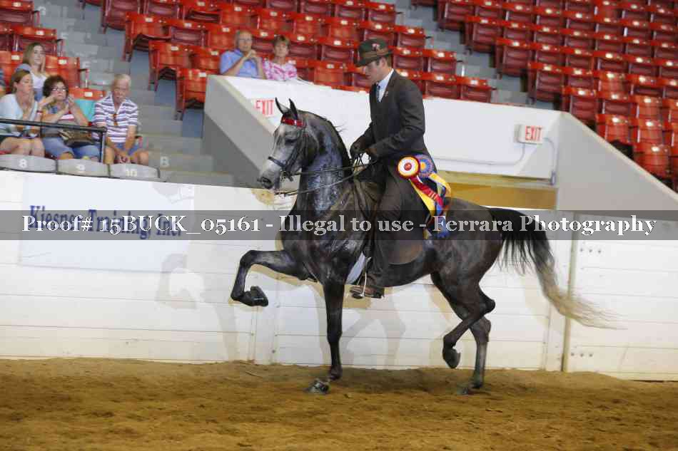 Proof 15BUCK_05161