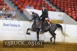 15BUCK_05161 proof