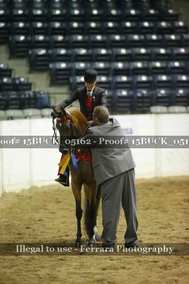 Proof 15BUCK_05162