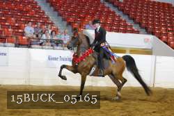 15BUCK_05165 proof