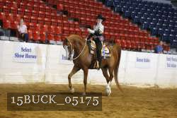 15BUCK_05175 proof