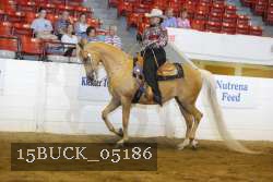 15BUCK_05186 proof