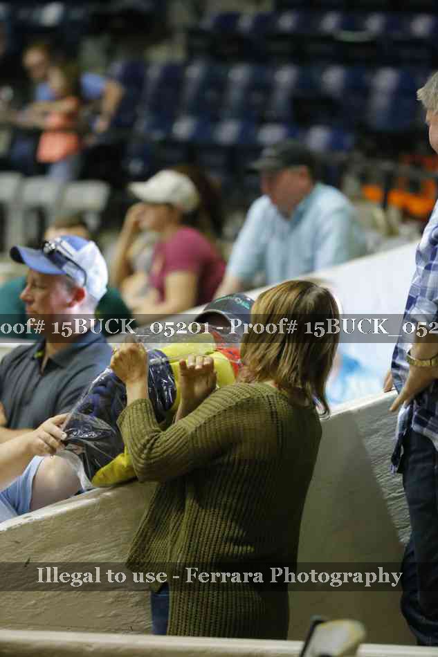Proof 15BUCK_05201