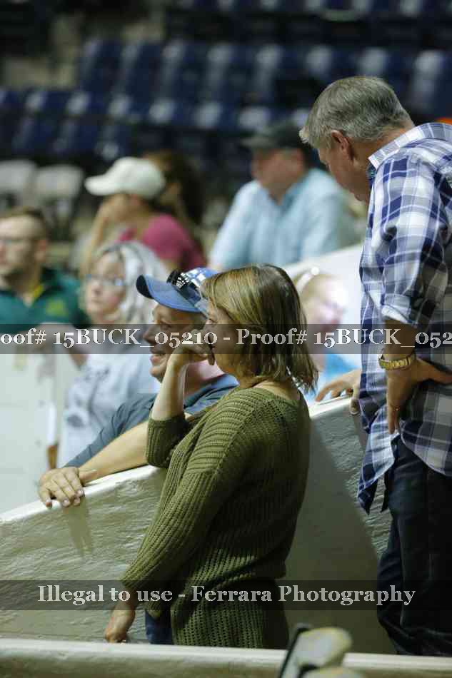 Proof 15BUCK_05210