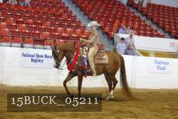 15BUCK_05211 proof
