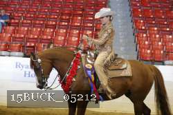 15BUCK_05212 proof