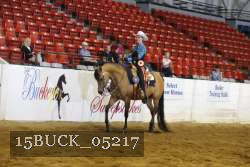15BUCK_05217 proof