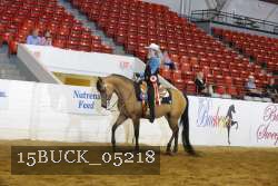 15BUCK_05218 proof