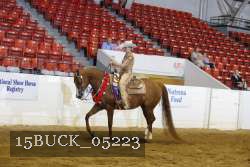 15BUCK_05223 proof