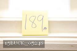 15BUCK_05248 proof
