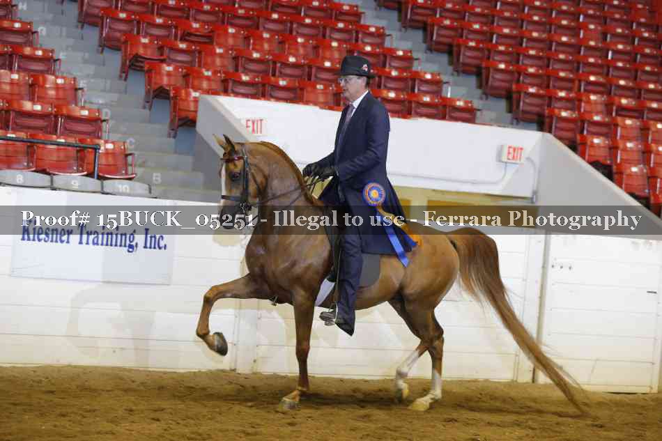 Proof 15BUCK_05251