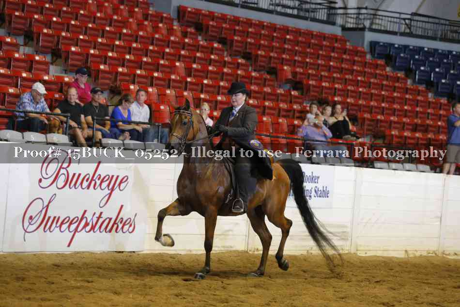 Proof 15BUCK_05252