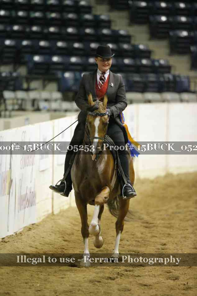 Proof 15BUCK_05253