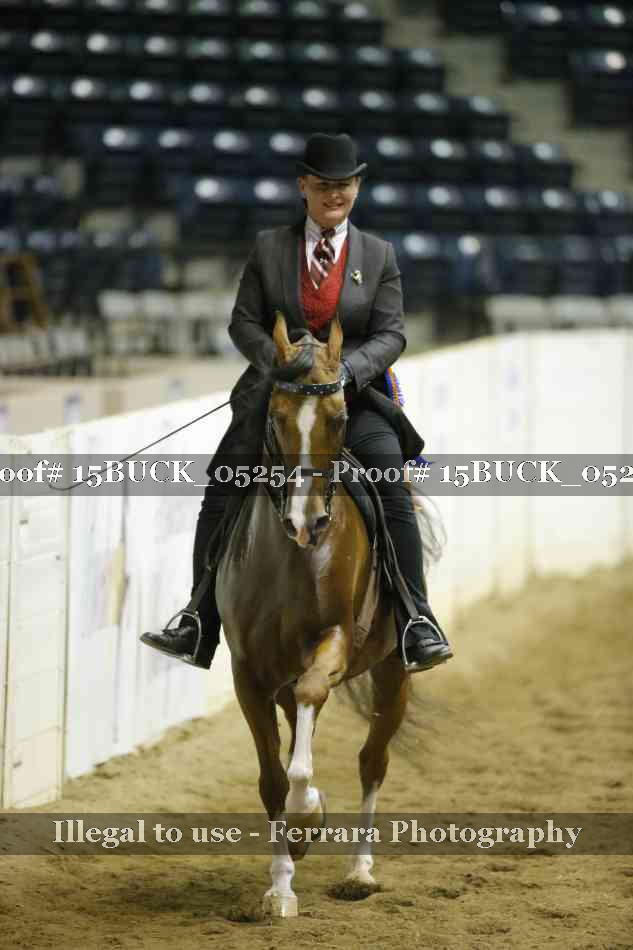 Proof 15BUCK_05254