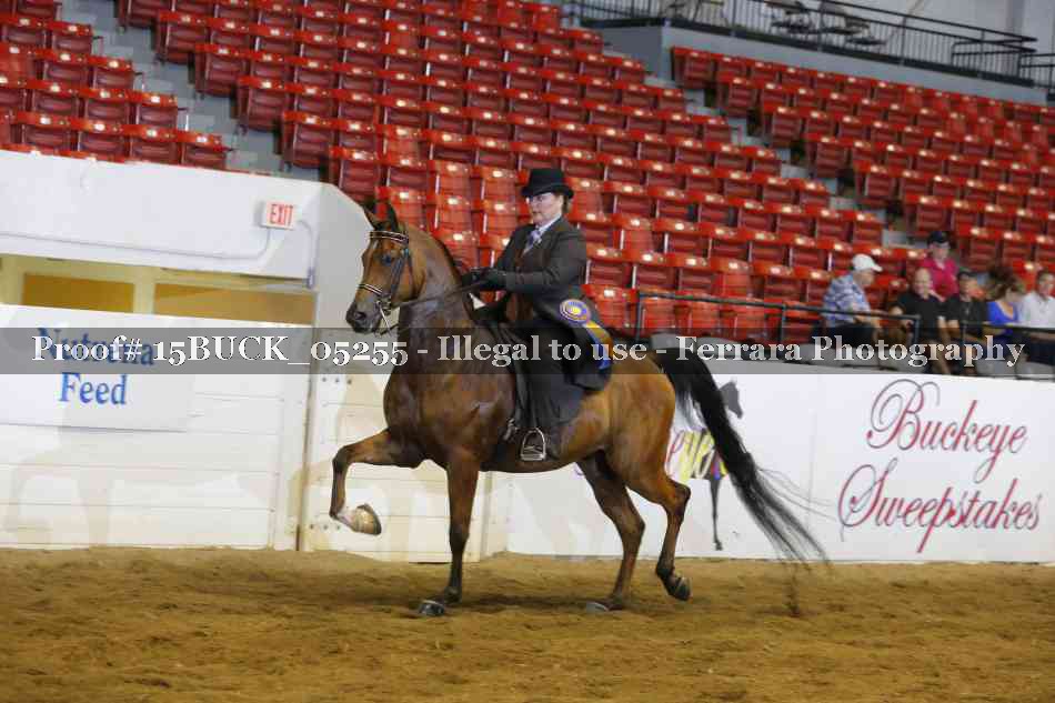 Proof 15BUCK_05255