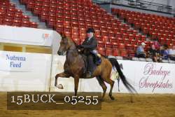 15BUCK_05255 proof