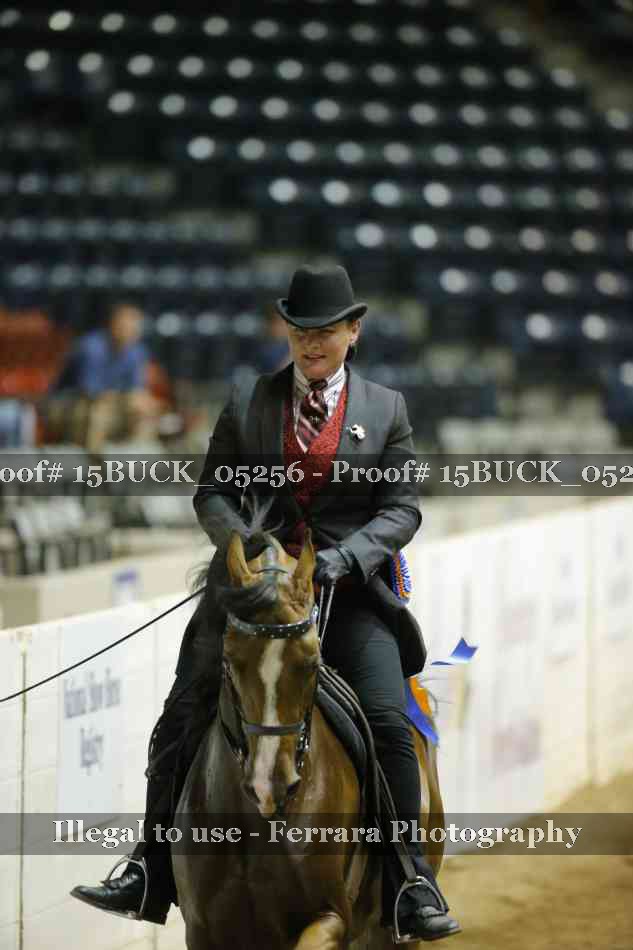 Proof 15BUCK_05256
