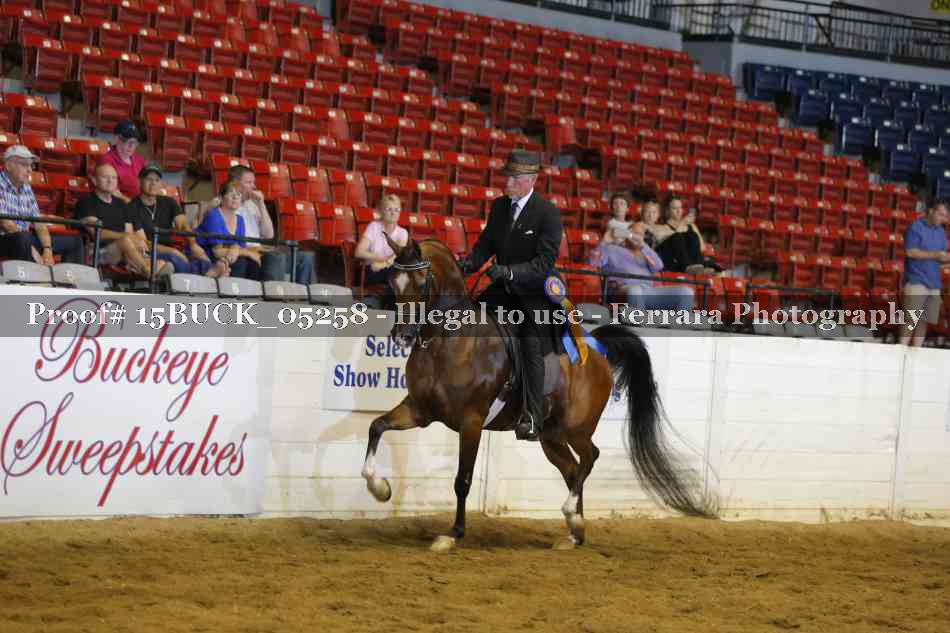 Proof 15BUCK_05258