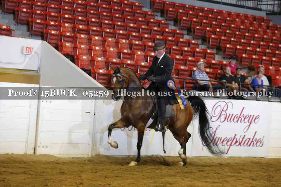 Proof 15BUCK_05259