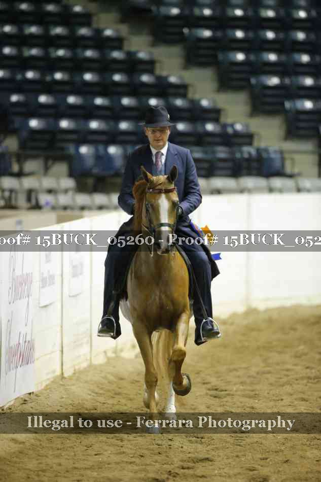 Proof 15BUCK_05260