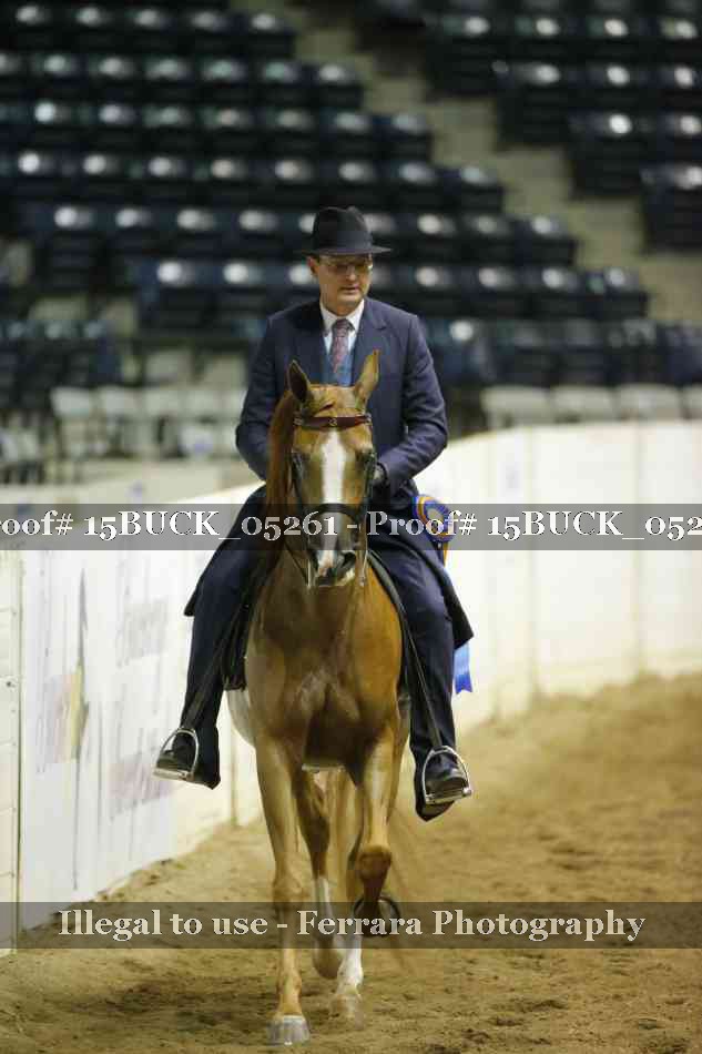 Proof 15BUCK_05261