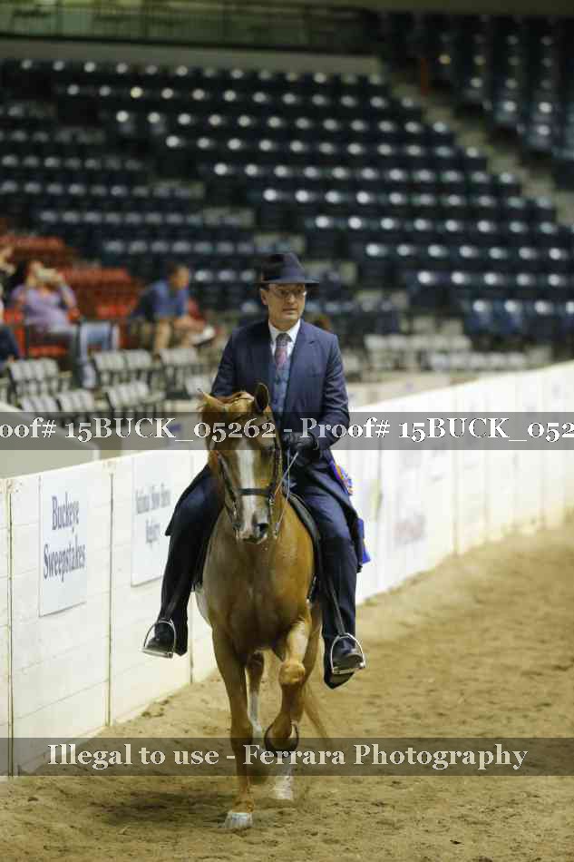 Proof 15BUCK_05262