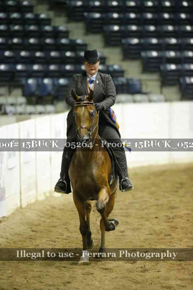 Proof 15BUCK_05264