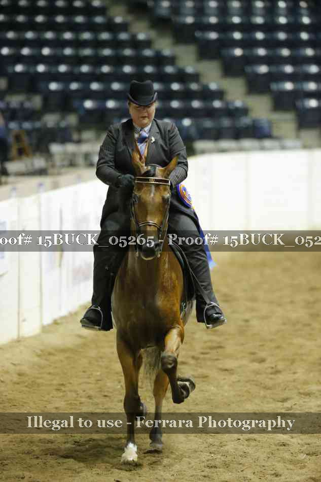 Proof 15BUCK_05265